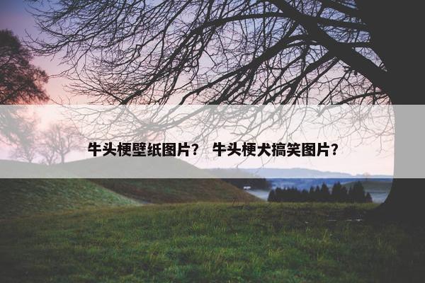 牛头梗壁纸图片？ 牛头梗犬搞笑图片？