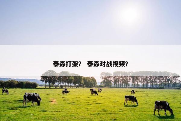 泰森打架？ 泰森对战视频？
