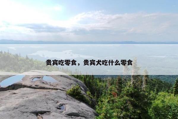 贵宾吃零食，贵宾犬吃什么零食
