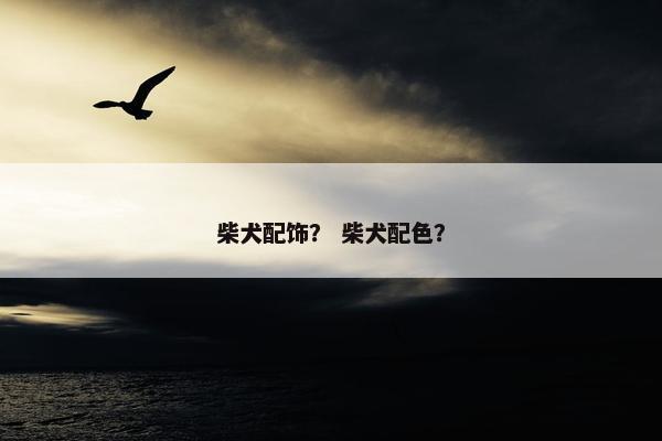 柴犬配饰？ 柴犬配色？