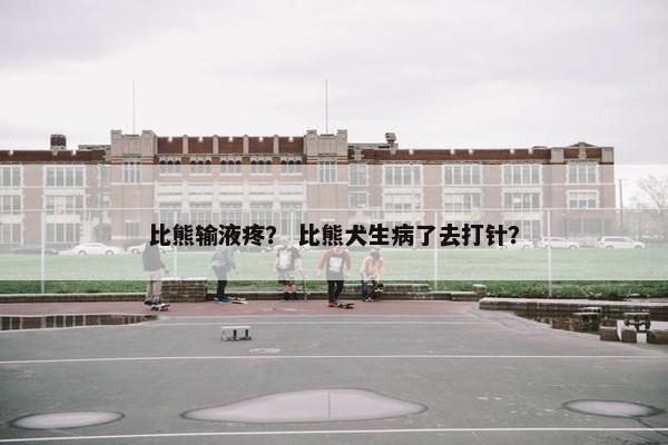 比熊输液疼？ 比熊犬生病了去打针？