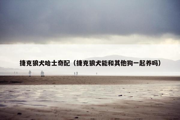 捷克狼犬哈士奇配（捷克狼犬能和其他狗一起养吗）