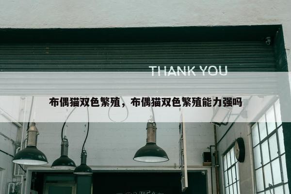 布偶猫双色繁殖，布偶猫双色繁殖能力强吗