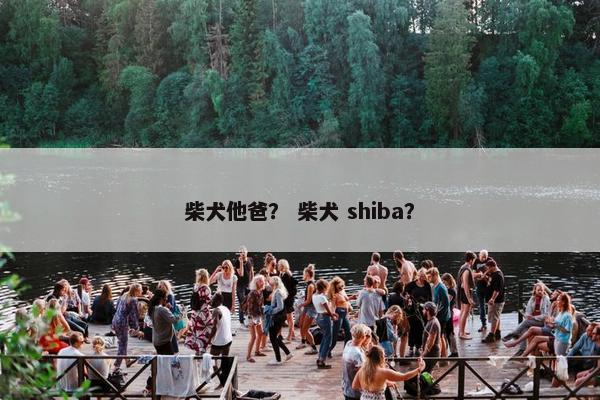 柴犬他爸？ 柴犬 shiba？