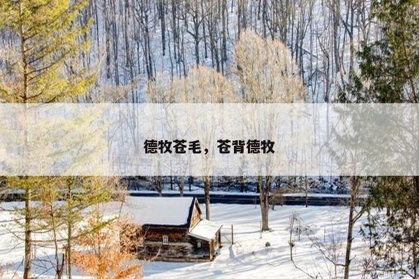 德牧苍毛，苍背德牧