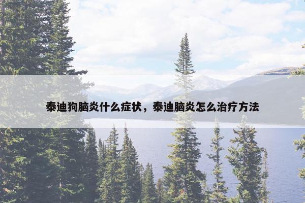 泰迪狗脑炎什么症状，泰迪脑炎怎么治疗方法