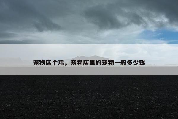 宠物店个鸡，宠物店里的宠物一般多少钱