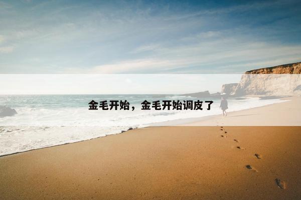 金毛开始，金毛开始调皮了