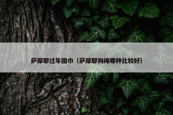 萨摩耶过年围巾（萨摩耶狗绳哪种比较好）