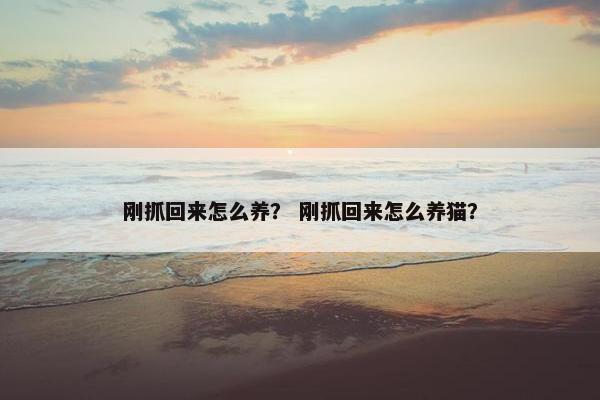 刚抓回来怎么养？ 刚抓回来怎么养猫？