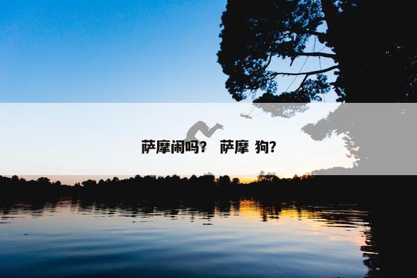 萨摩闹吗？ 萨摩 狗？