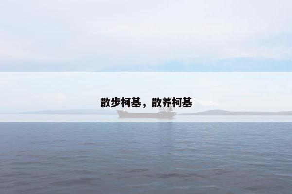 散步柯基，散养柯基