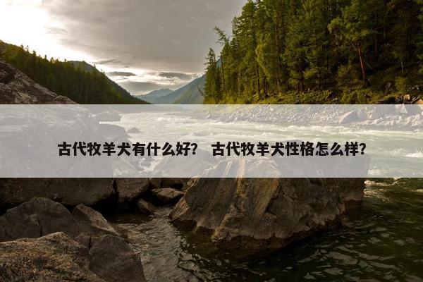 古代牧羊犬有什么好？ 古代牧羊犬性格怎么样？