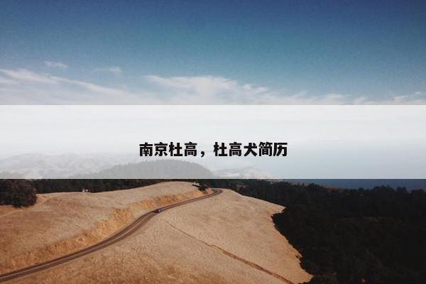 南京杜高，杜高犬简历