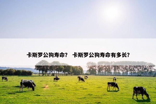 卡斯罗公狗寿命？ 卡斯罗公狗寿命有多长？