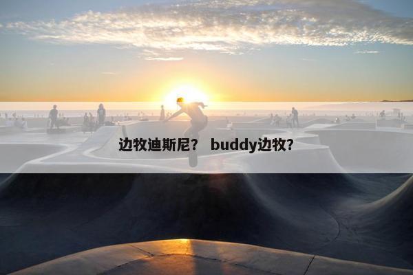 边牧迪斯尼？ buddy边牧？