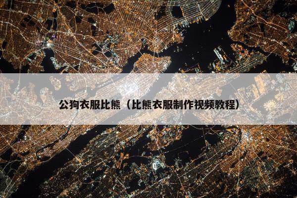 公狗衣服比熊（比熊衣服制作视频教程）