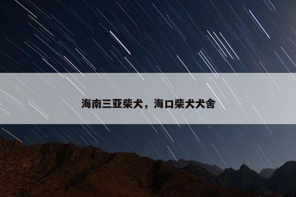 海南三亚柴犬，海口柴犬犬舍