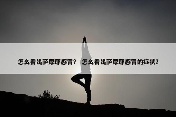 怎么看出萨摩耶感冒？ 怎么看出萨摩耶感冒的症状？