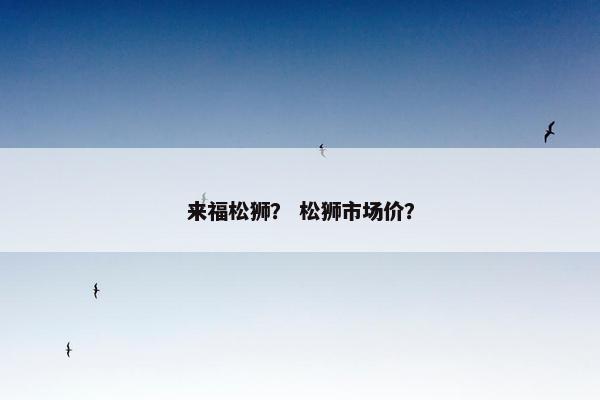 来福松狮？ 松狮市场价？