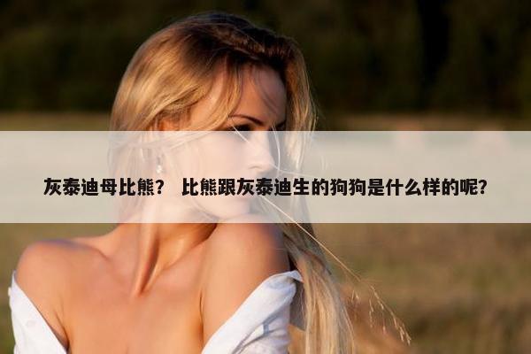 灰泰迪母比熊？ 比熊跟灰泰迪生的狗狗是什么样的呢？