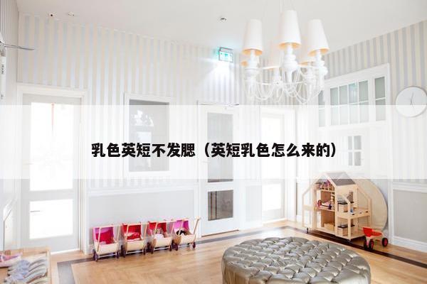 乳色英短不发腮（英短乳色怎么来的）