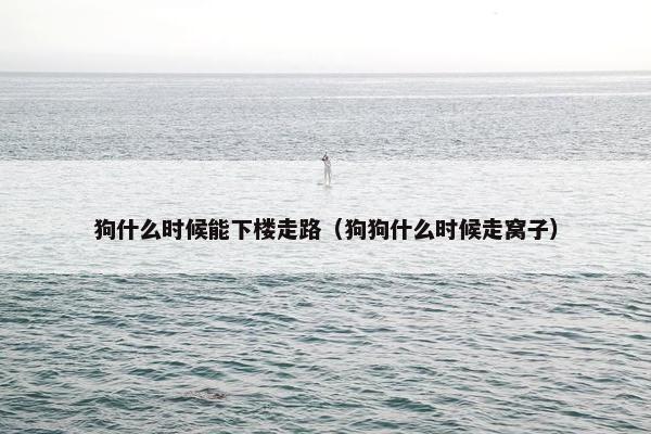 狗什么时候能下楼走路（狗狗什么时候走窝子）