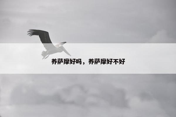 养萨摩好吗，养萨摩好不好