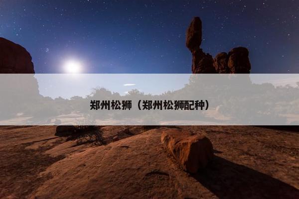 郑州松狮（郑州松狮配种）