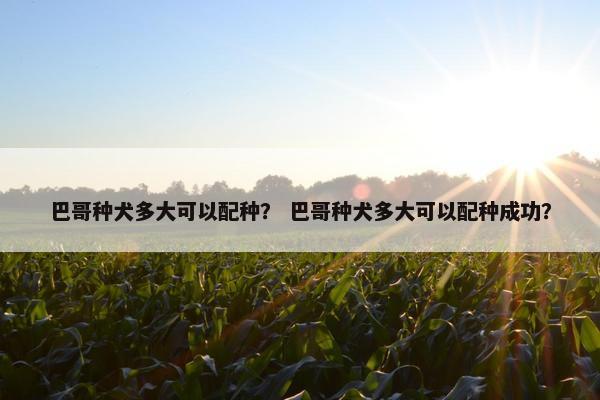 巴哥种犬多大可以配种？ 巴哥种犬多大可以配种成功？