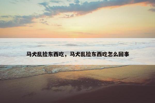 马犬乱捡东西吃，马犬乱捡东西吃怎么回事