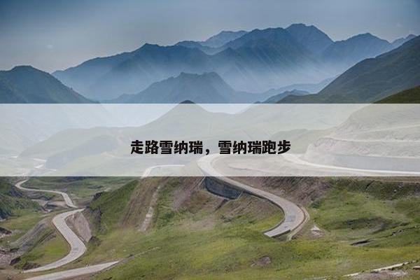 走路雪纳瑞，雪纳瑞跑步