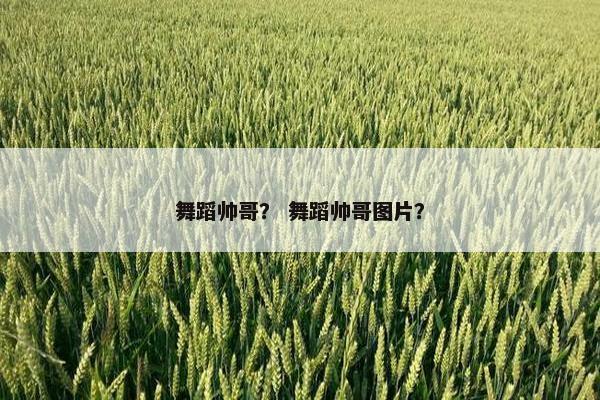 舞蹈帅哥? 舞蹈帅哥图片? 舞蹈帅哥? 舞蹈帅哥图片?