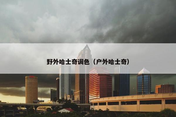 野外哈士奇调色（户外哈士奇）