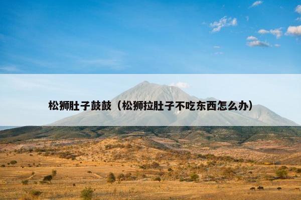 松狮肚子鼓鼓（松狮拉肚子不吃东西怎么办）