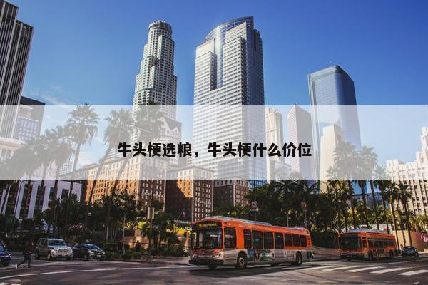 牛头梗选粮，牛头梗什么价位