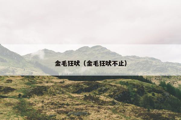 金毛狂吠（金毛狂吠不止）