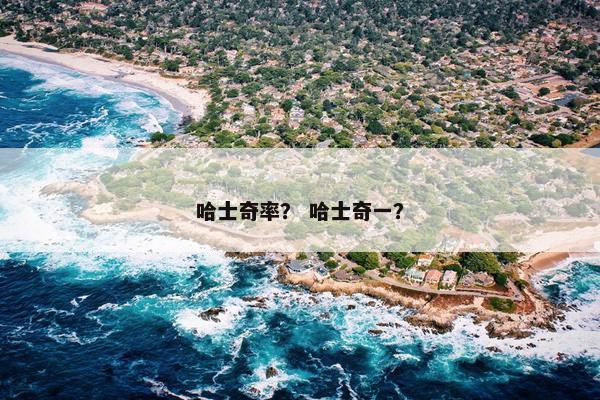 哈士奇率？ 哈士奇一？