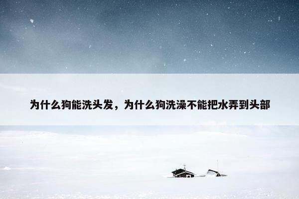 为什么狗能洗头发，为什么狗洗澡不能把水弄到头部