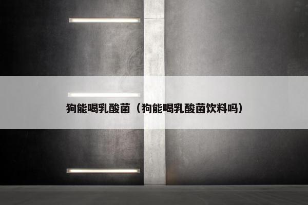 狗能喝乳酸菌（狗能喝乳酸菌饮料吗）