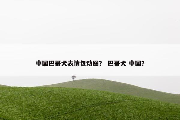 中国巴哥犬表情包动图？ 巴哥犬 中国？