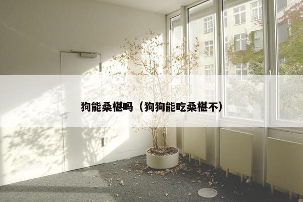 狗能桑椹吗（狗狗能吃桑椹不）