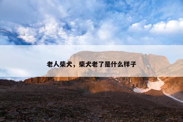 老人柴犬，柴犬老了是什么样子