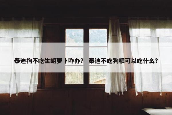 泰迪狗不吃生胡萝卜咋办？ 泰迪不吃狗粮可以吃什么？