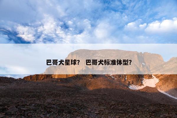 巴哥犬星球？ 巴哥犬标准体型？