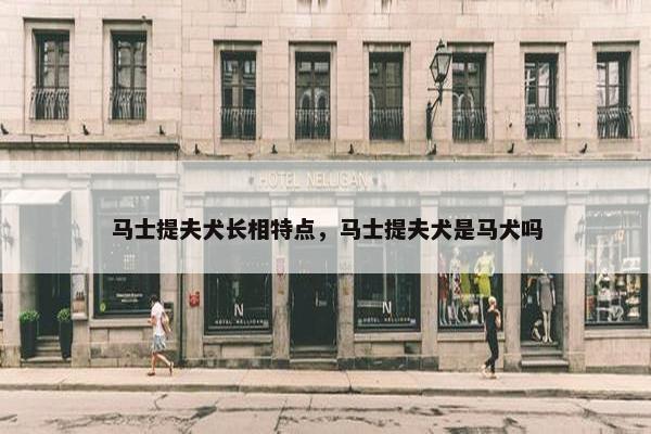 马士提夫犬长相特点，马士提夫犬是马犬吗