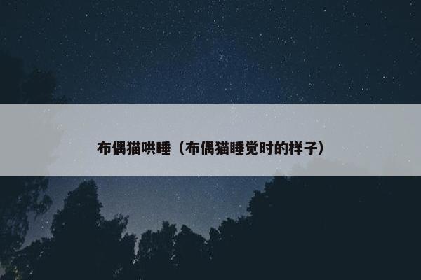 布偶猫哄睡（布偶猫睡觉时的样子）