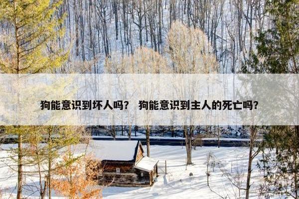 狗能意识到坏人吗？ 狗能意识到主人的死亡吗？