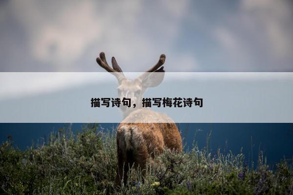 描写诗句，描写梅花诗句