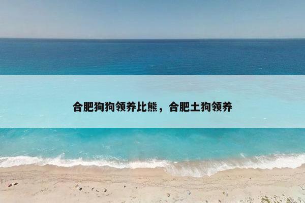 合肥狗狗领养比熊，合肥土狗领养